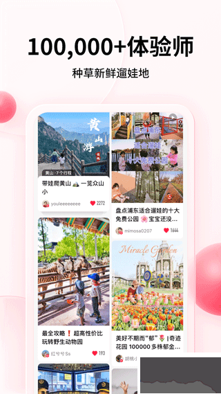 彩贝壳免费版
