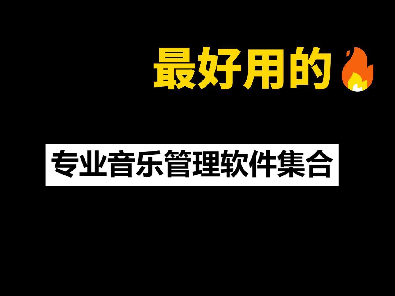 专业音乐管理软件推荐-MusicBee软件大全-MusicBee各种版本集合