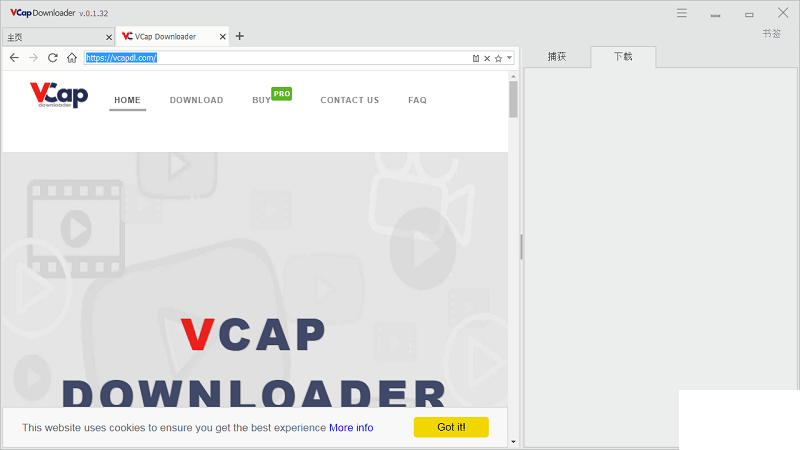vcap downloader官网版