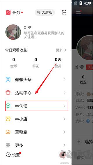 vv音乐