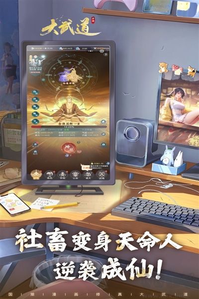 大武道单机版