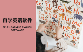 2025英语基础学习软件-自学英语的免费软件大全-英语入门自学app推荐
