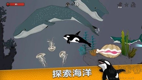 皇家鱼免费版