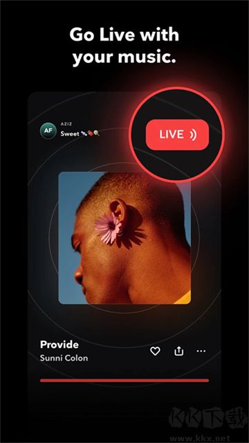 Tidal音乐app