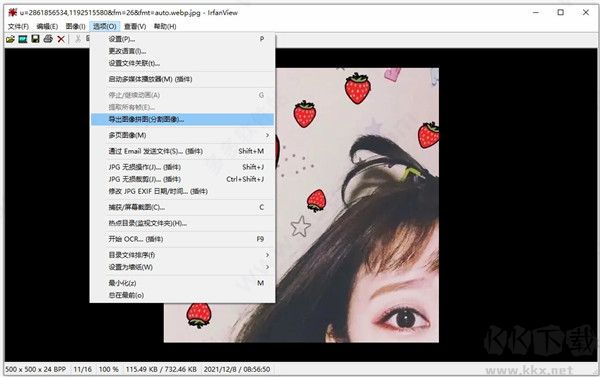 irfanview专业版
