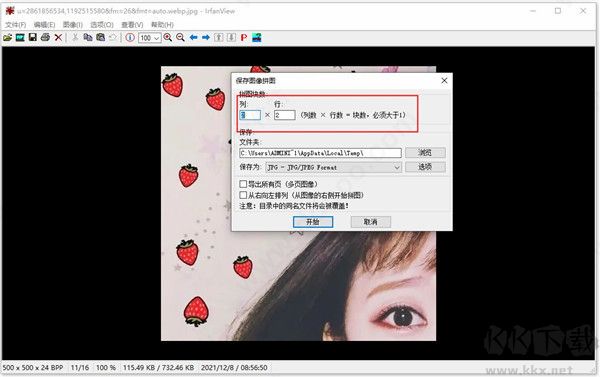 irfanview专业版
