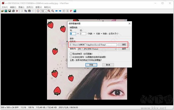 irfanview专业版
