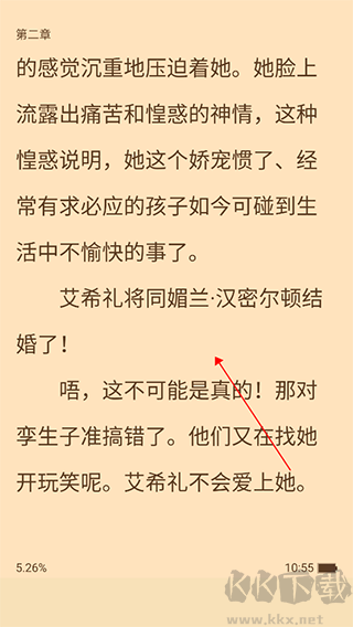 追书大师