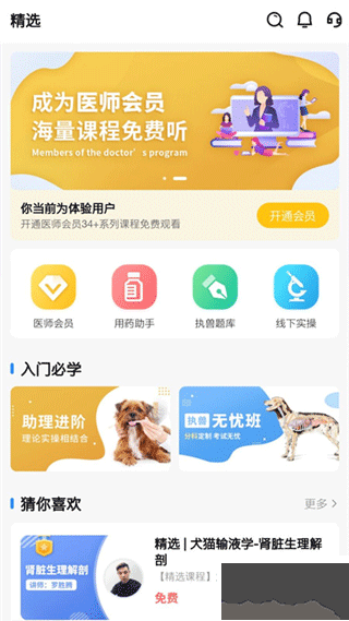 宠壹堂
