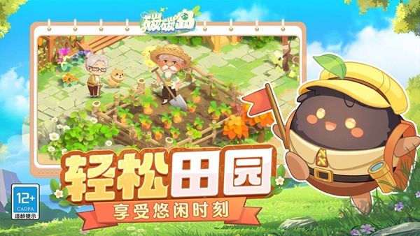 碳碳岛