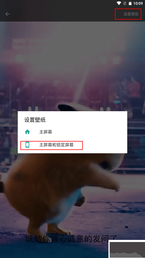 皮皮壁纸