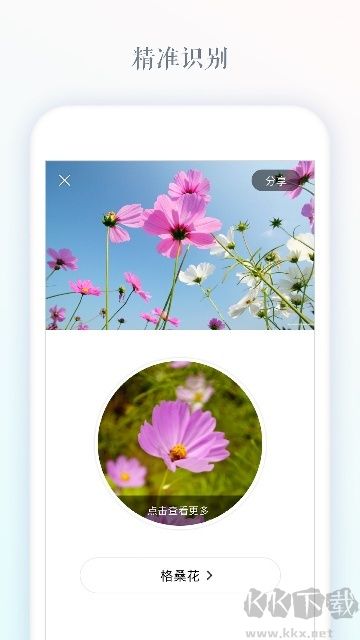 识花app