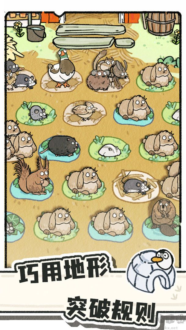 猫神牧场