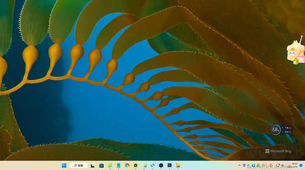 Bing Wallpaper