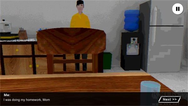 皮卡布宁静的夜晚正版