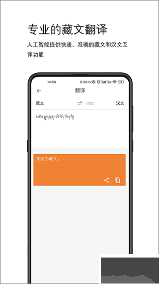 简藏汉