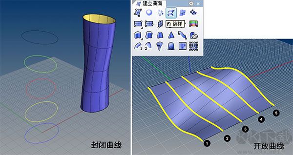 犀牛rhino8