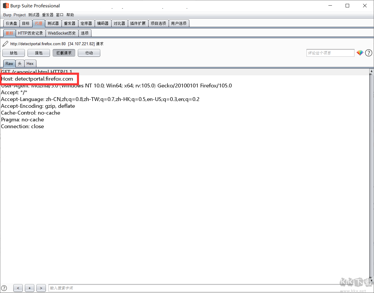 burp suite professional