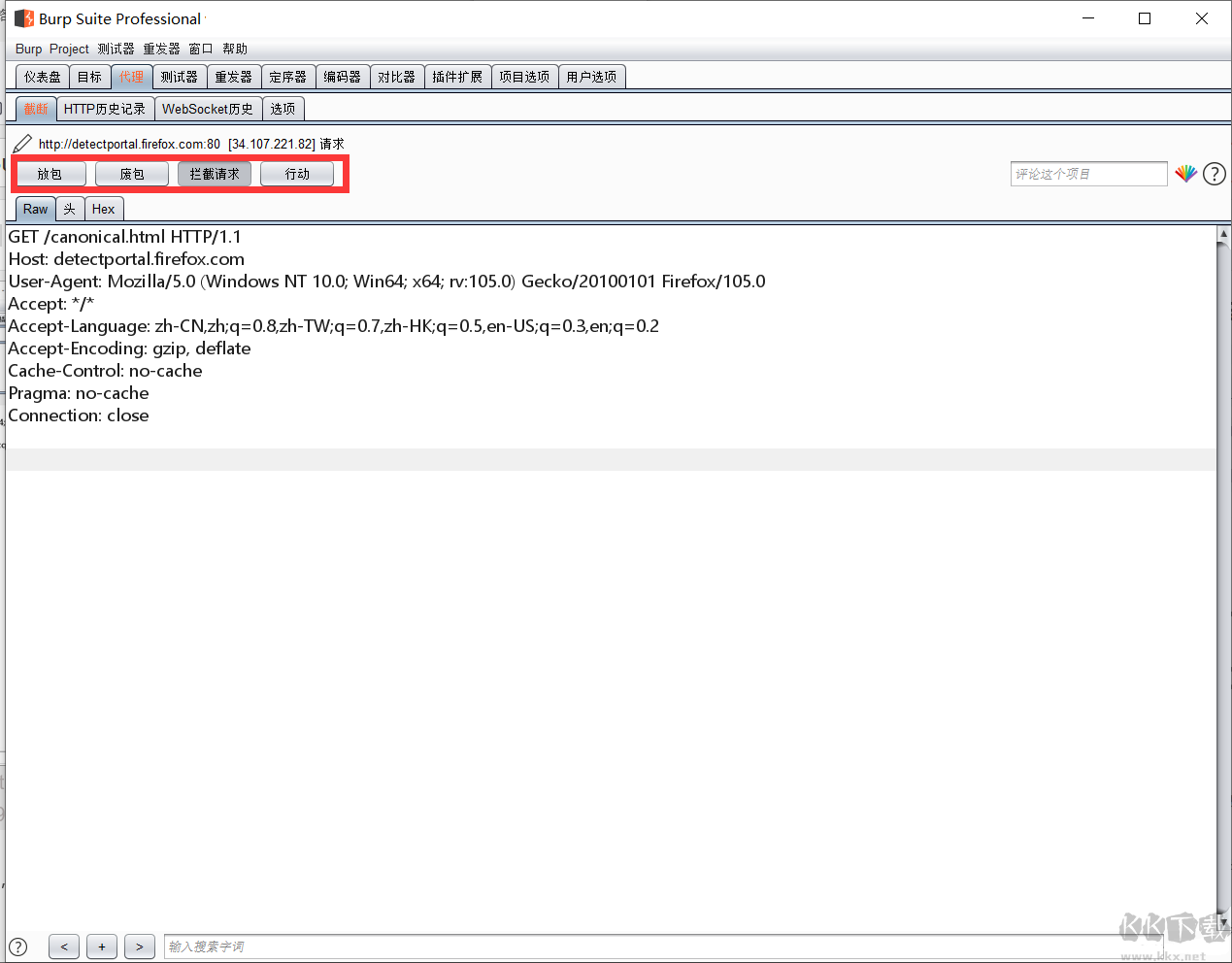 burp suite professional