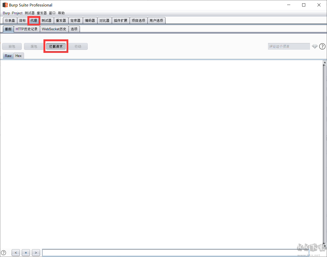 burp suite professional