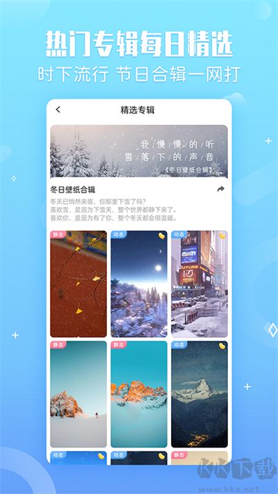 小鸟壁纸手机版