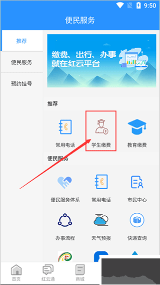 江安红云