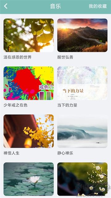 正气app