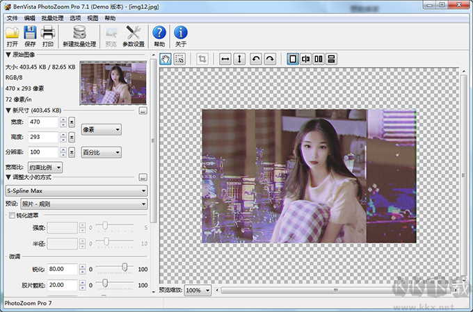 photozoom pro9