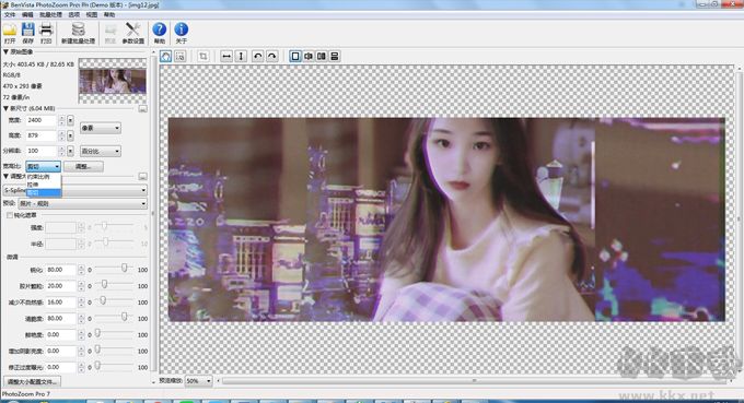 photozoom pro9