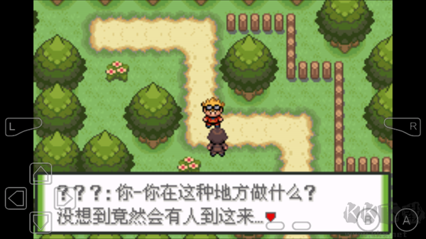 口袋妖怪釉色最新版