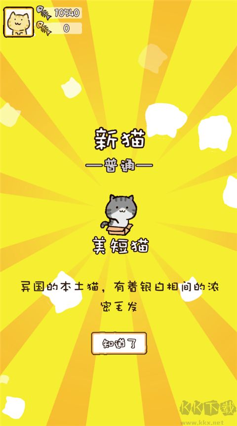 猫咪庭院物语正版
