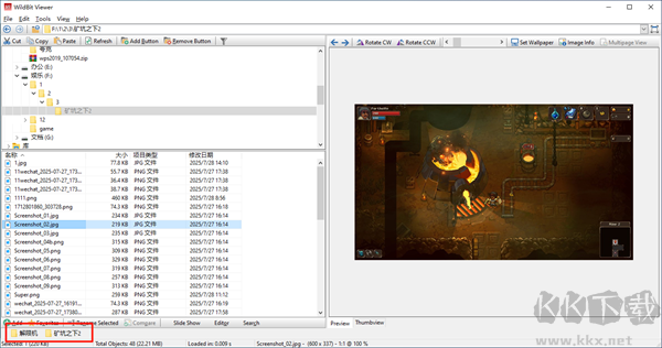 WildBit Viewer