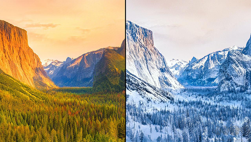 Neural Filters