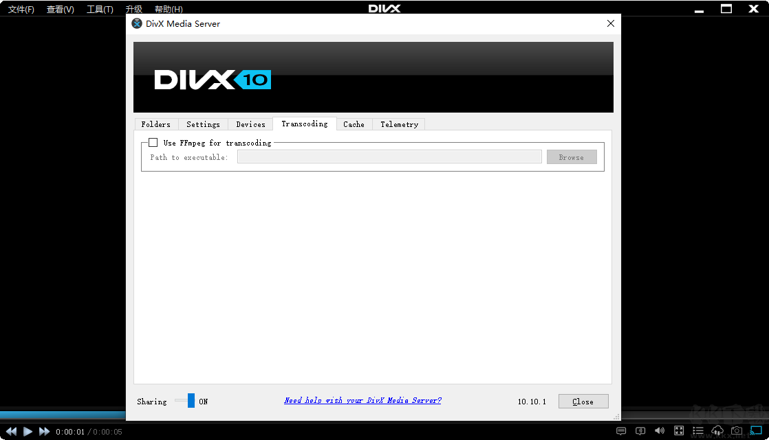 DivX Plus(divx解码器)
