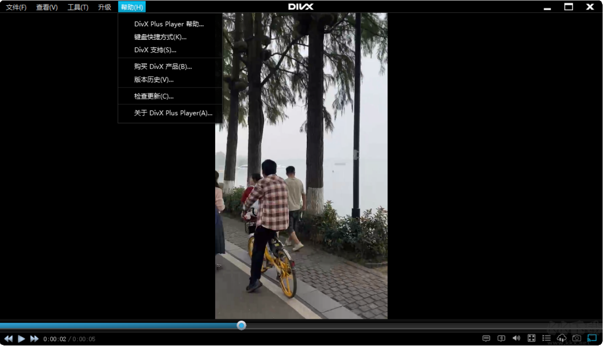 DivX Plus(divx解码器)