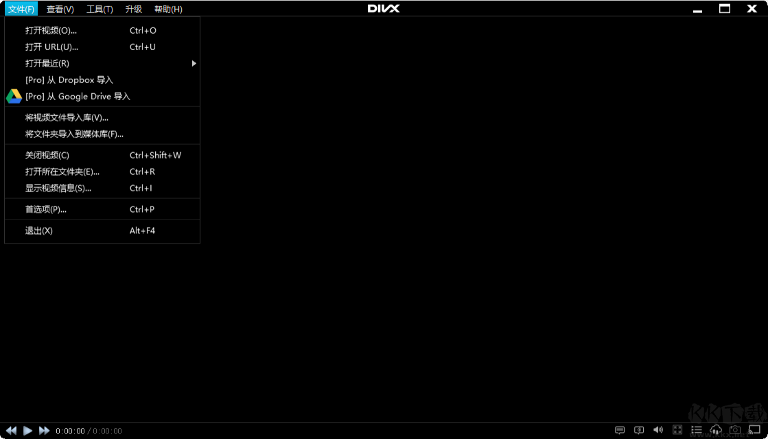 DivX Plus(divx解码器)