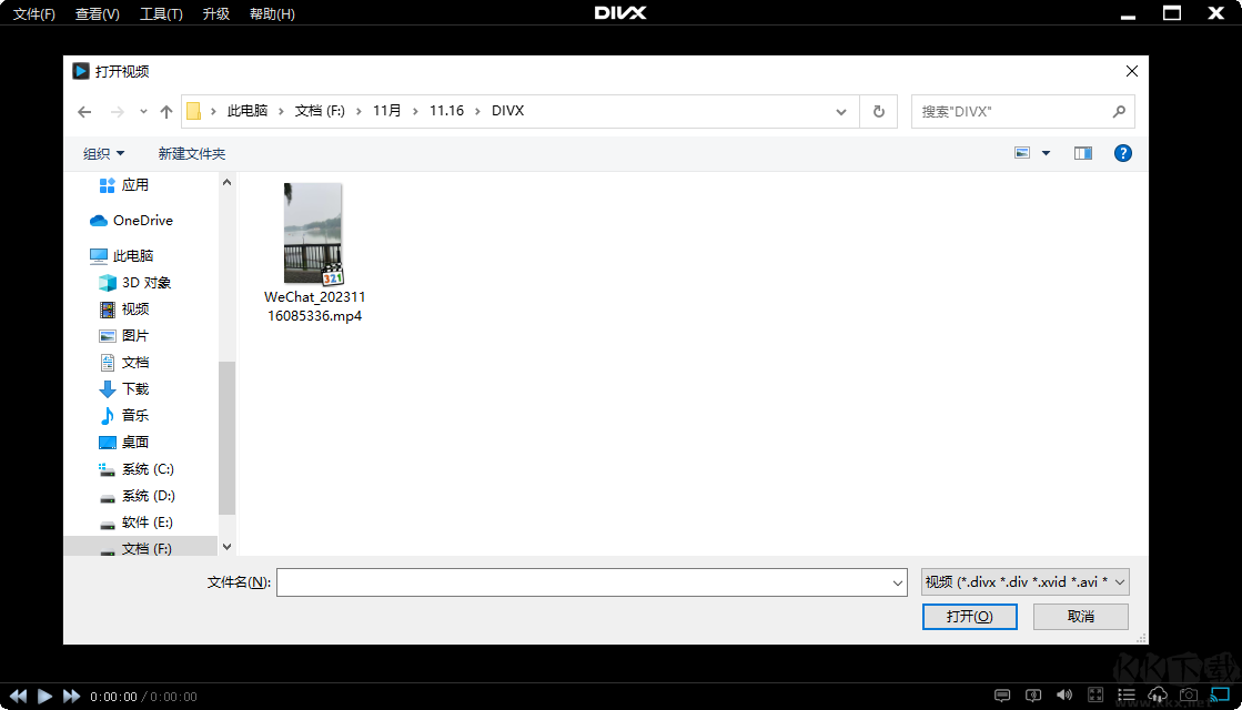 DivX Plus(divx解码器)