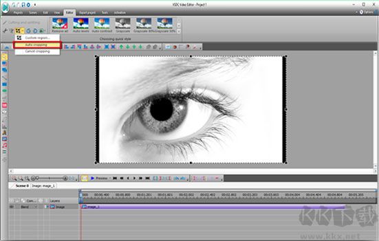 VSDC Video Editor(视频编辑器)