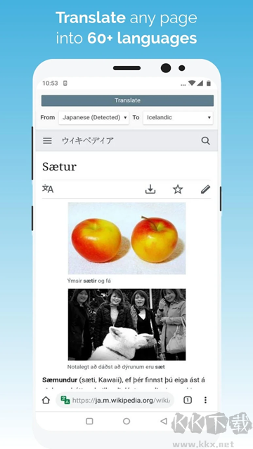 Kiwi Browser浏览器app