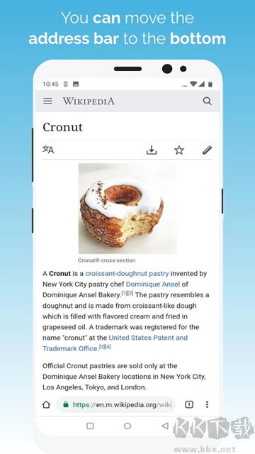 Kiwi Browser浏览器app