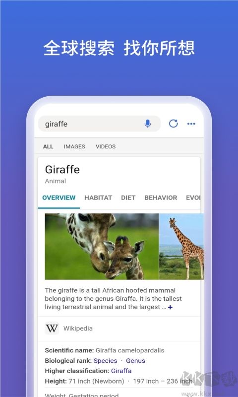 必应搜索（Bing）