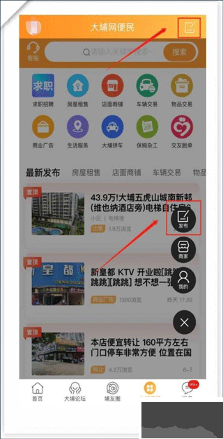 大埔网