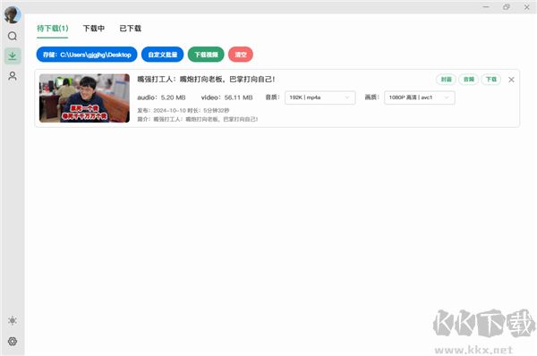 BiliDown(下载工具)