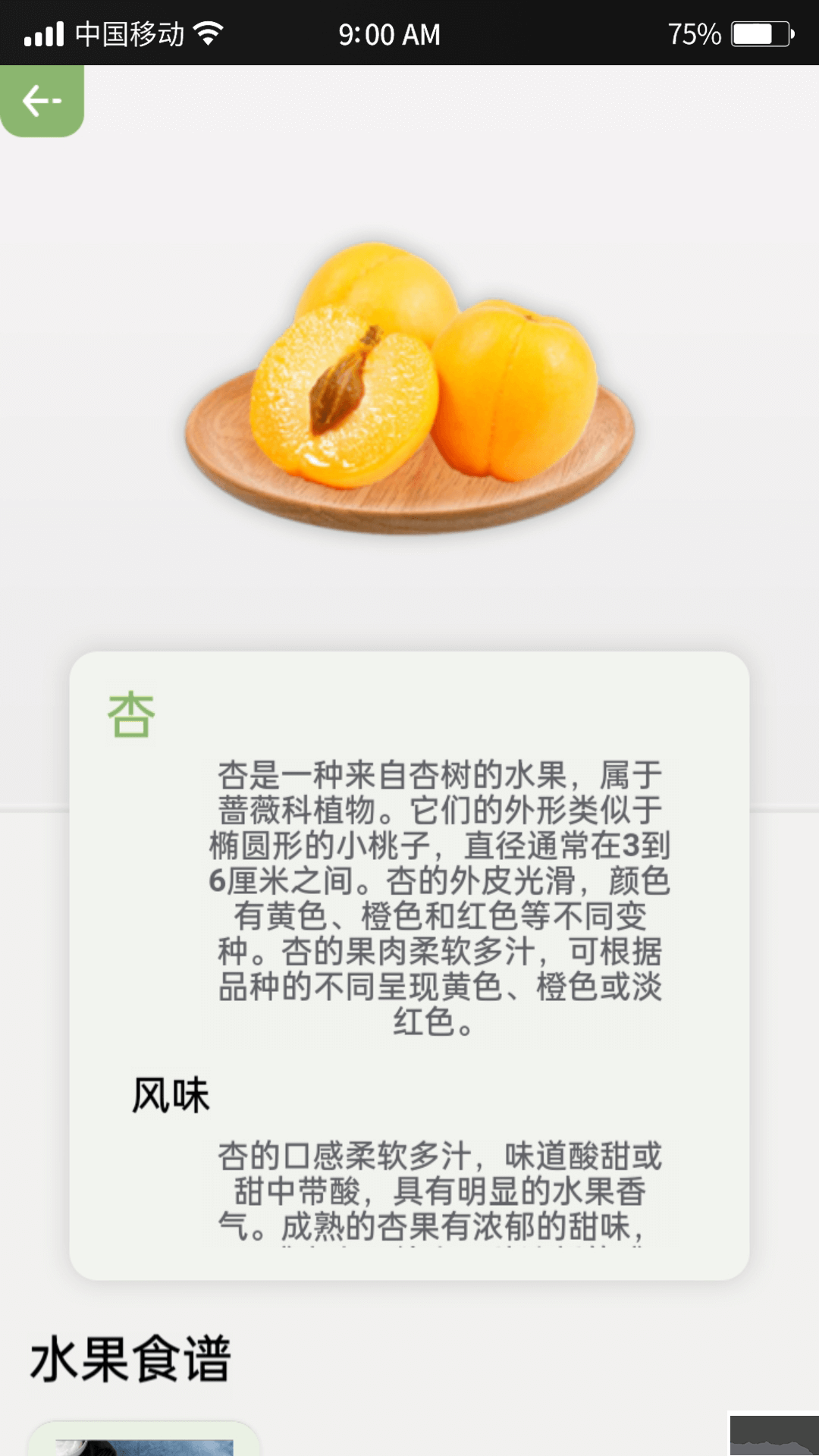 指尖果园(水果百科)