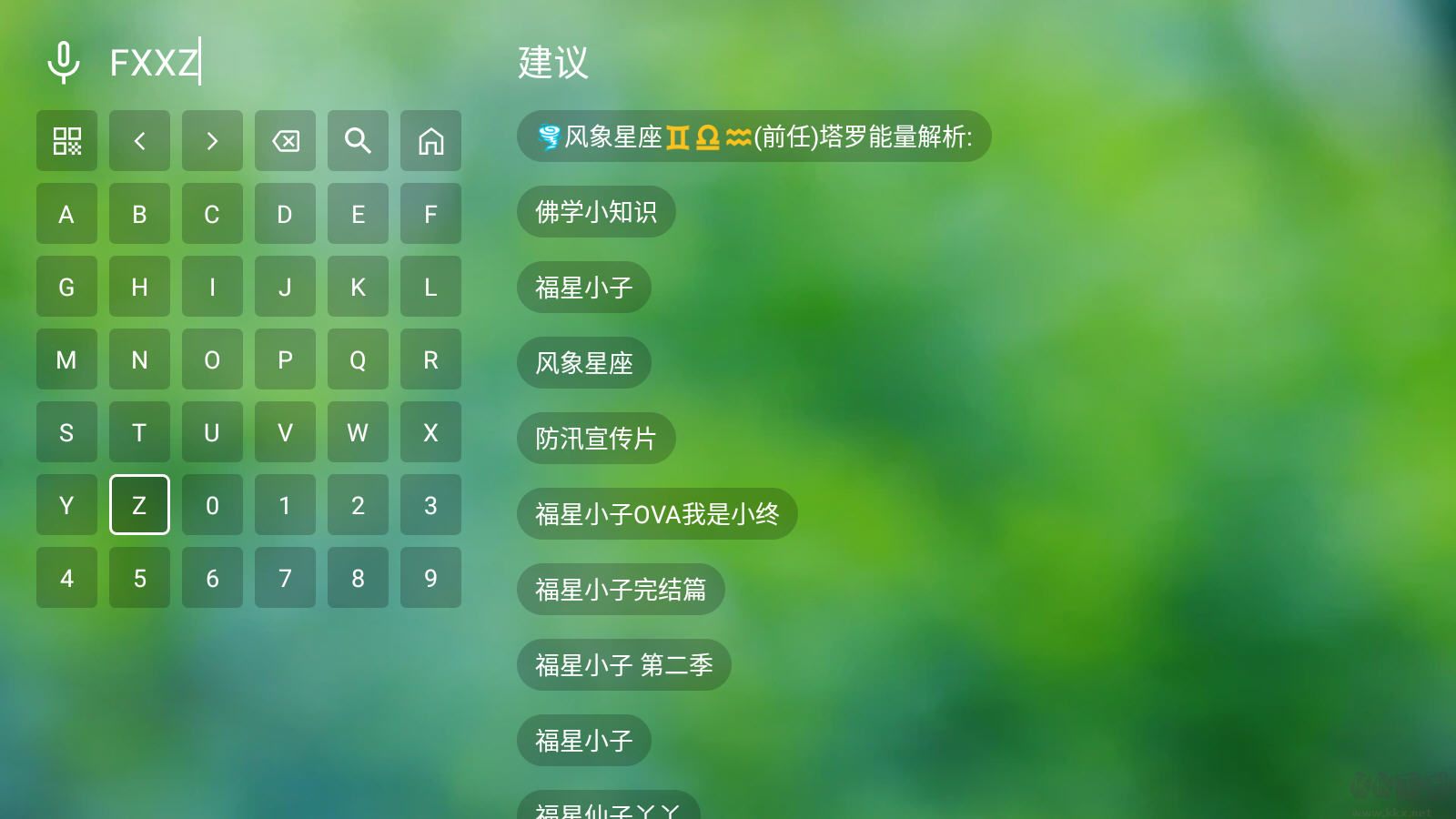 肥猫TV