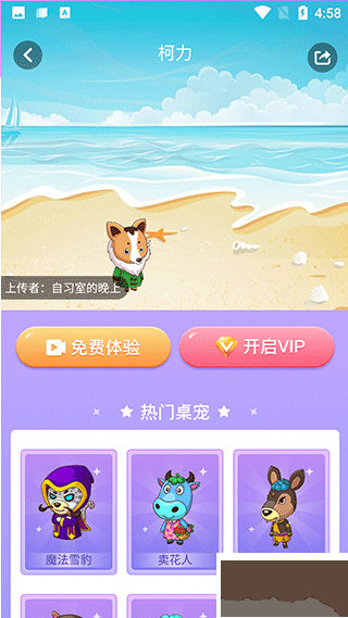 小小桌宠