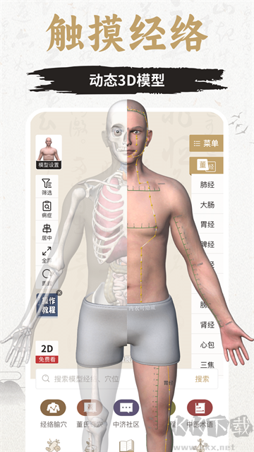 知源经络穴位