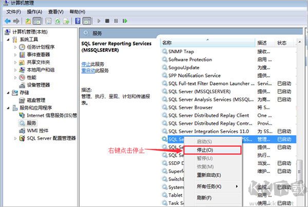 wampserver
