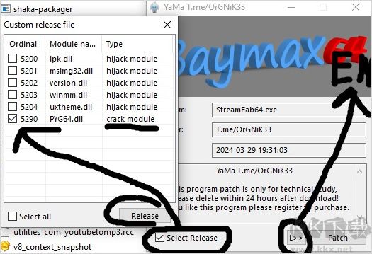 dvdfab 13