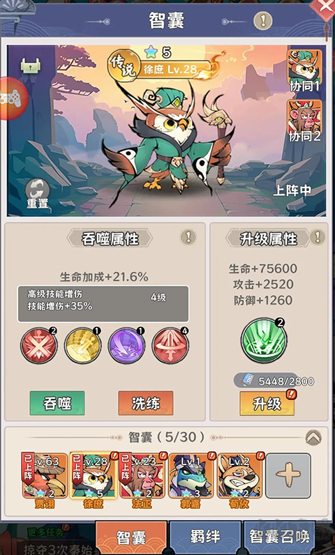 探探猫大作战